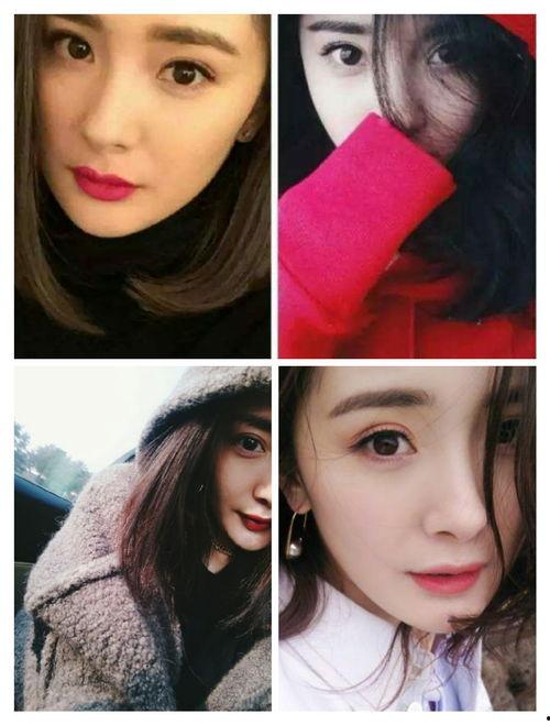 圈内爆料杨幂刘涛,娱乐圈姐妹情深背后的真相